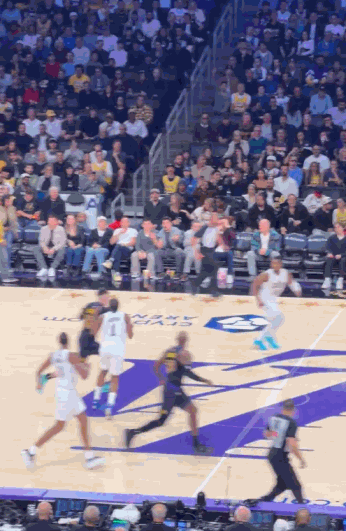 老而弥坚青春永驻！湖人主场127:113大胜东部劲旅骑士提前锁定分区常规赛冠军！