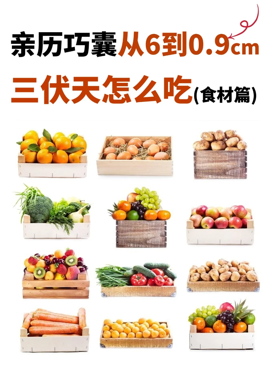 巧囊姐妹赶紧码住【三伏天要吃的食材】讲究
