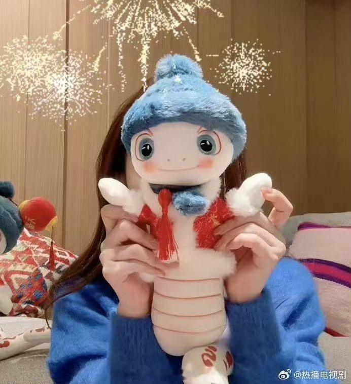 辽视春晚吉祥物劲儿劲儿的  2025辽视春晚官宣  2025辽视春晚 看腾腾这身