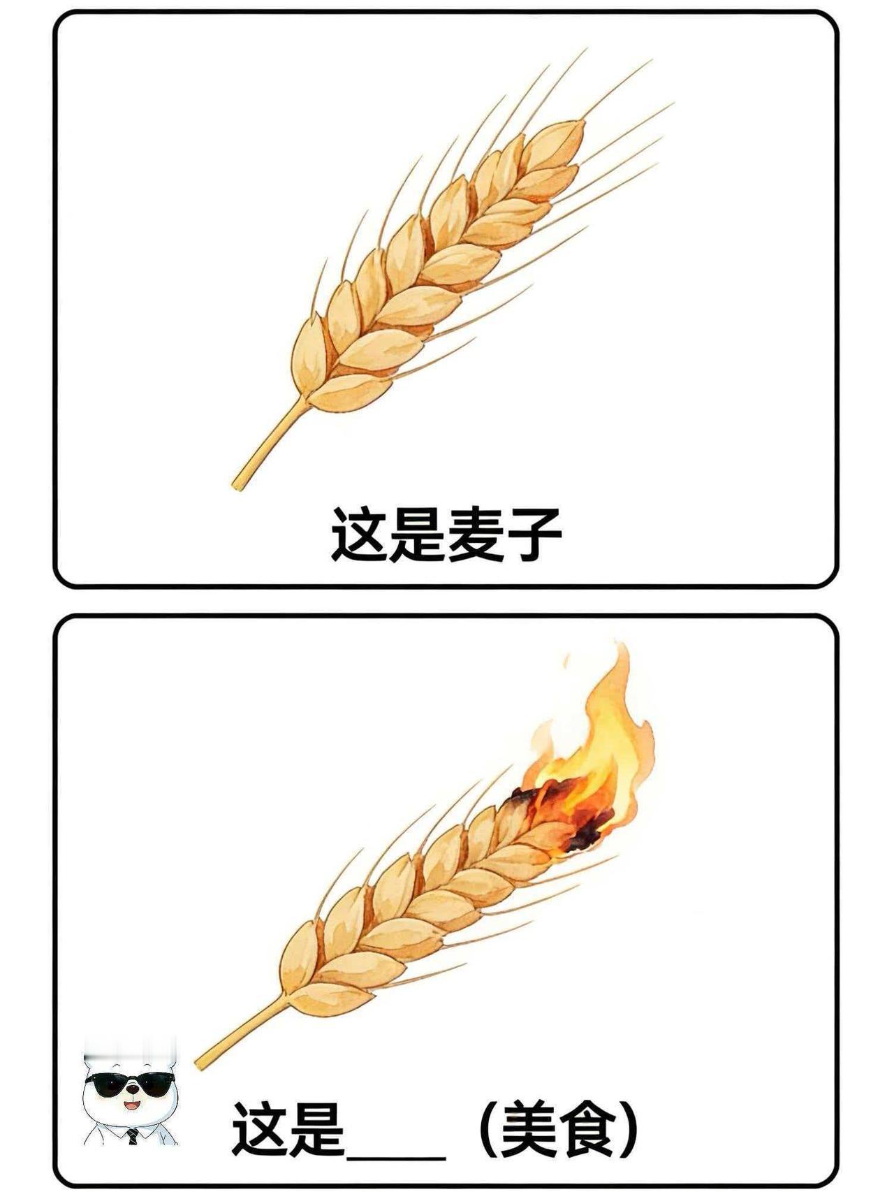 停不下来，越玩越上瘾【猜梗】第14期 
哈哈哈哈，好想见识你们的脑洞一起来玩梗 