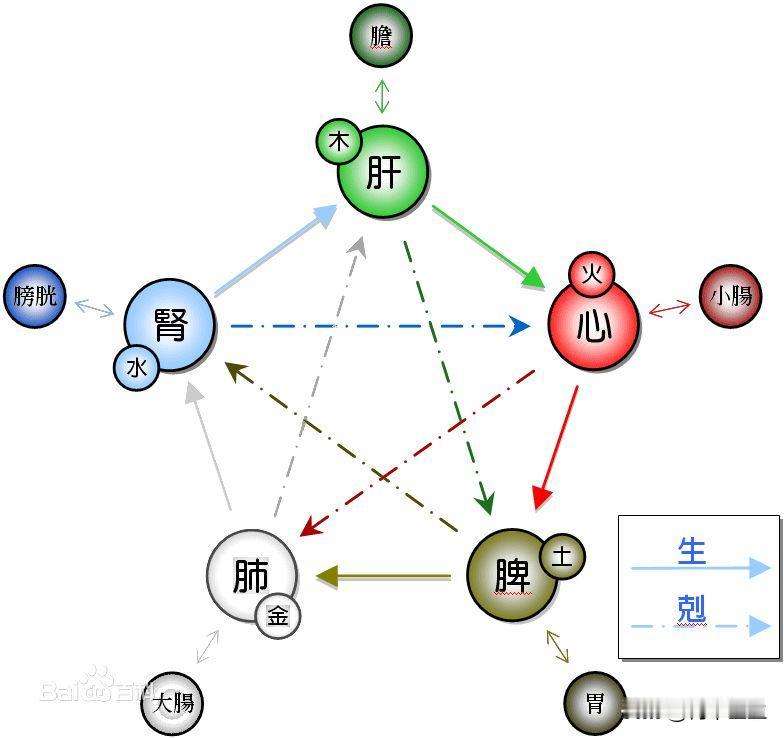 治肾先治心，治脾先疏肝，治肾先健脾，中医教你正确养生

1.治肾先治心
原因：肾