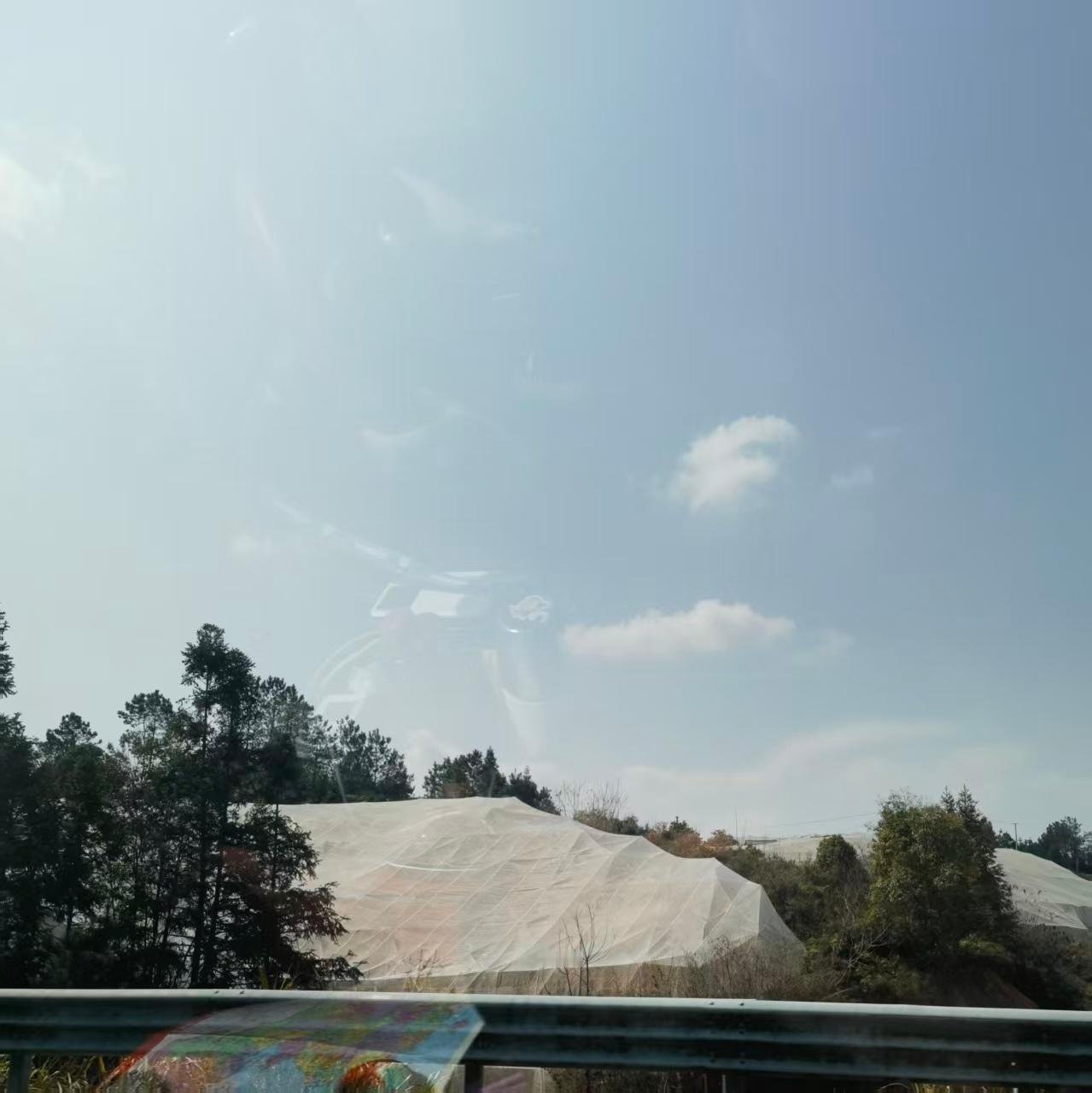 *在路上*进入江西地界偶尔看到油菜花，大新高呼，咱得先去婺源了。怎么可能...赣