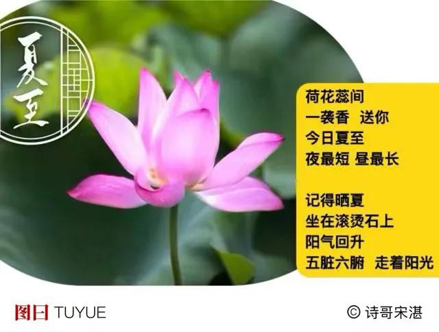 若是   能从花蕊间
借得阳光就好了
．
光亮我喜欢
如同喜欢看你
星星般发亮眼