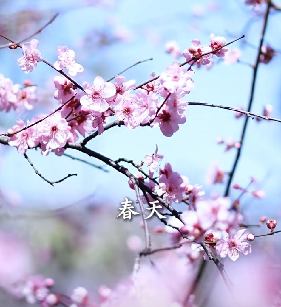 春天养生之道1，多喝温水。为自己的健康加油助力！

以前年轻时真够傻的，上班时我