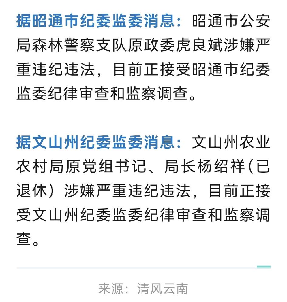又有干部被带走调查了，昭通市公安局森林警察支队原政委虎良斌，还有文山州农业农村局