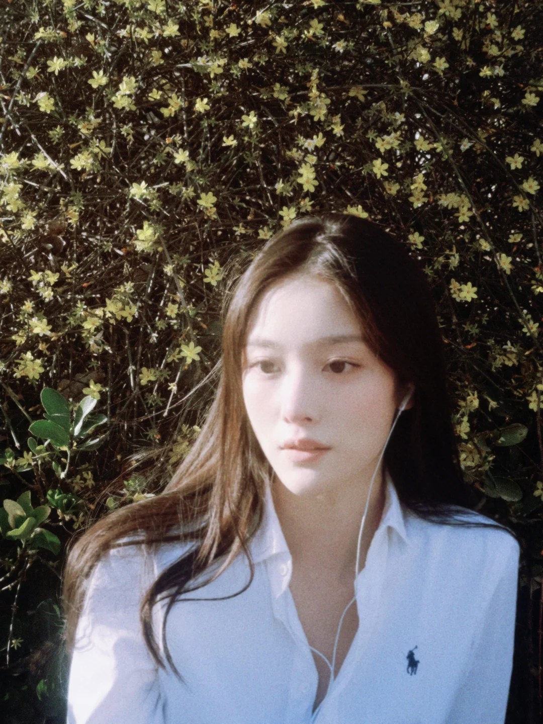 对dazz的开发不到1%