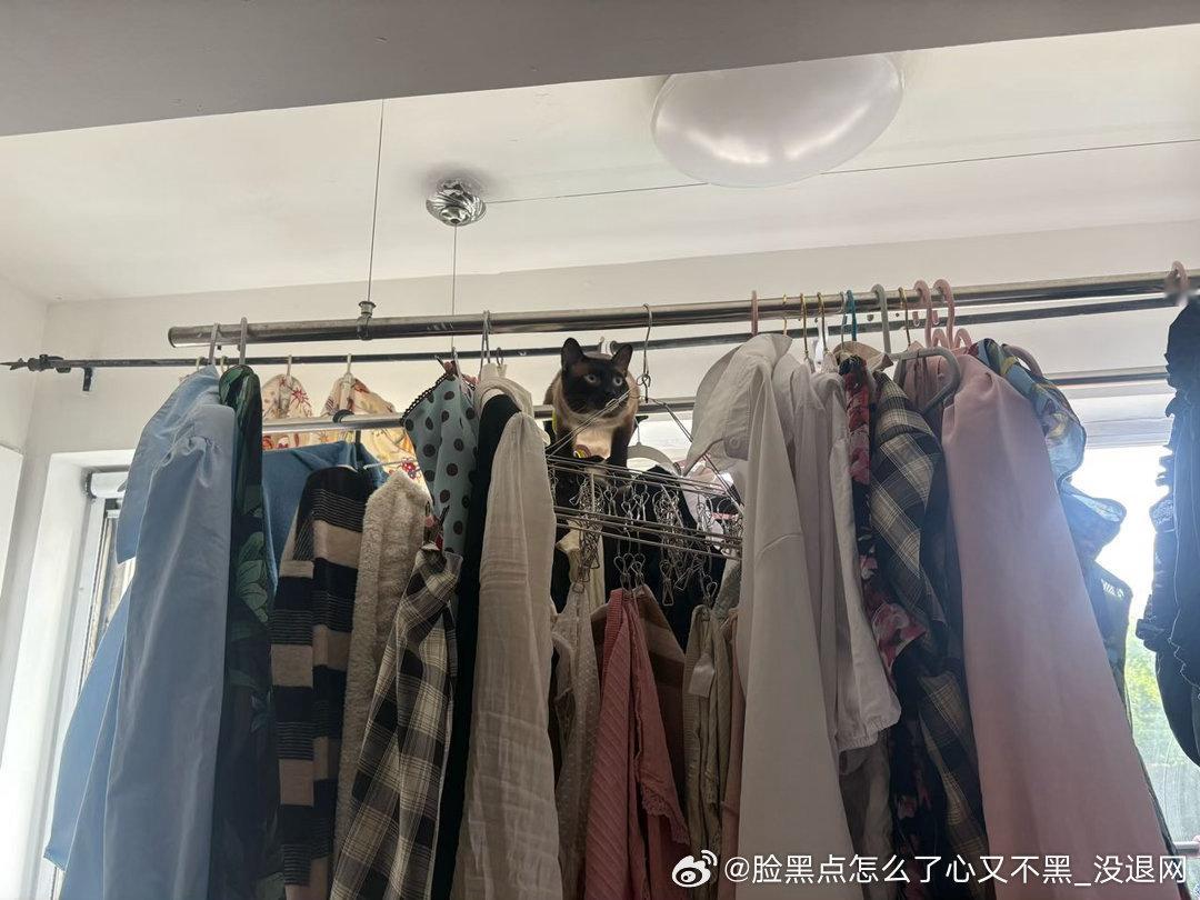 3843只黑脸来都来了，在上面挂会儿吧 
