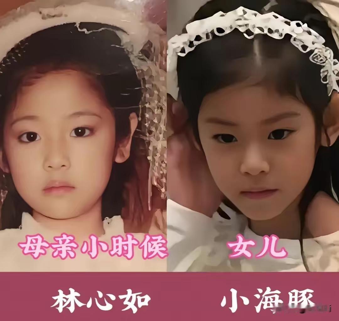 基因强大。女明星和女儿长相极度相似。梅婷女儿快快。孙俪女儿小花。林心如女儿小海豚