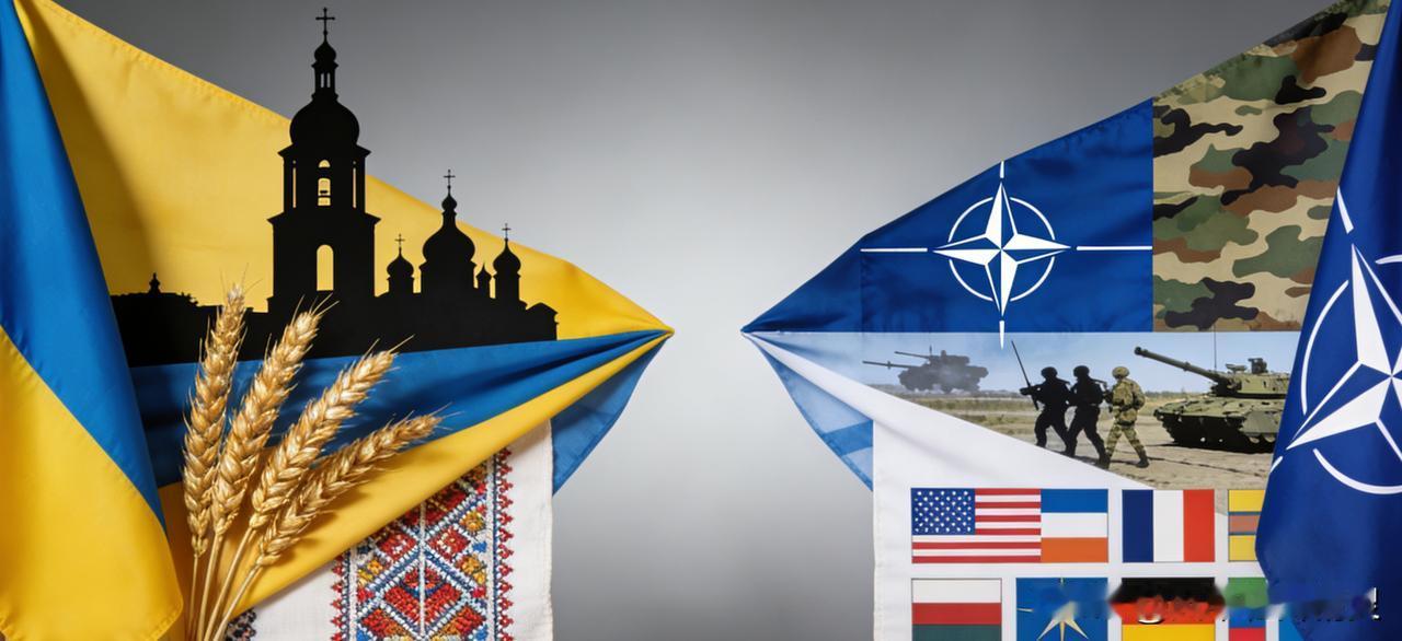 乌克兰就是铁了心要抱北约大腿，早就把入约写进宪法，做梦都想靠北约撑腰对抗俄罗斯。