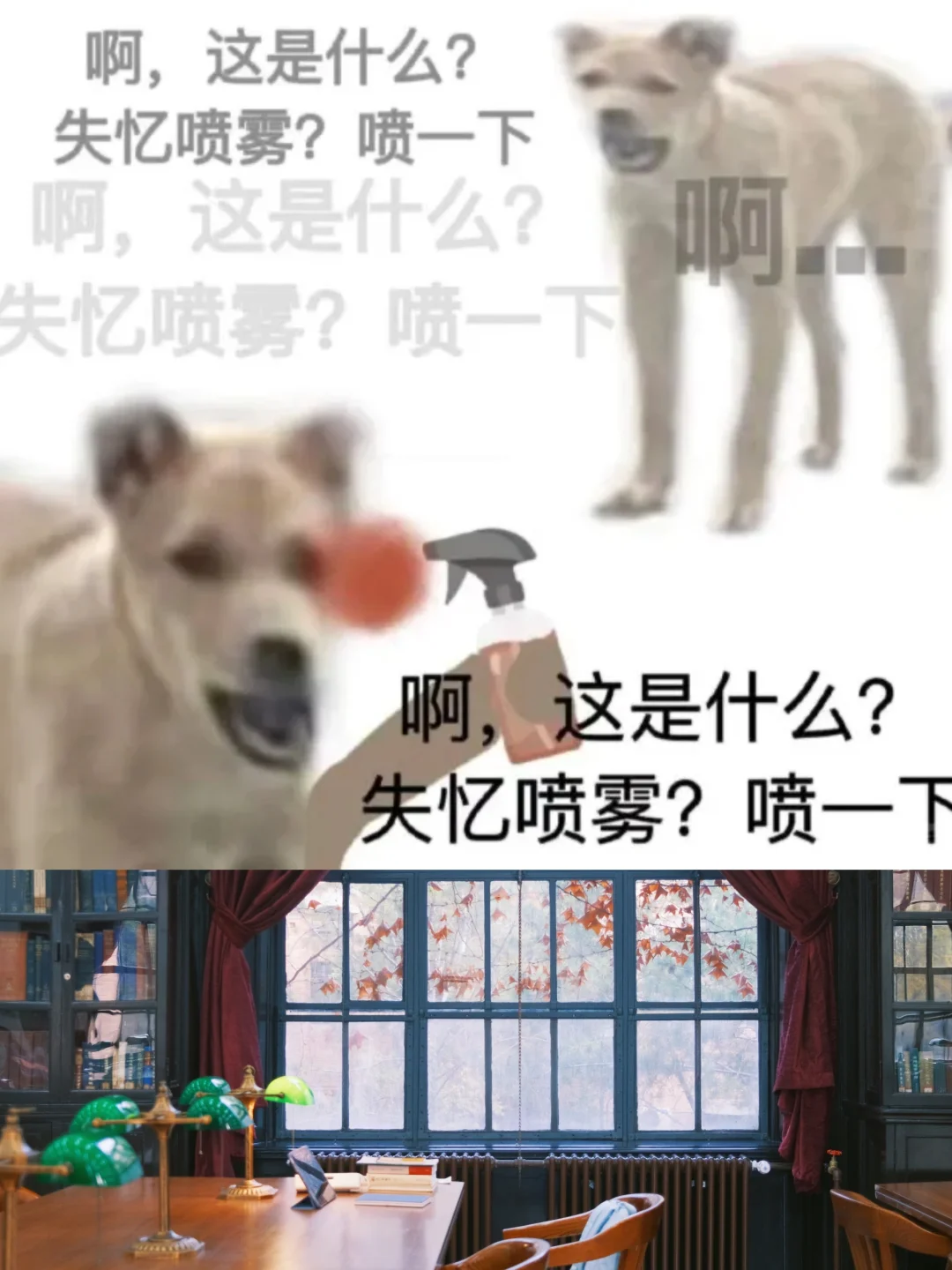 辣评2025年哲学考研真题