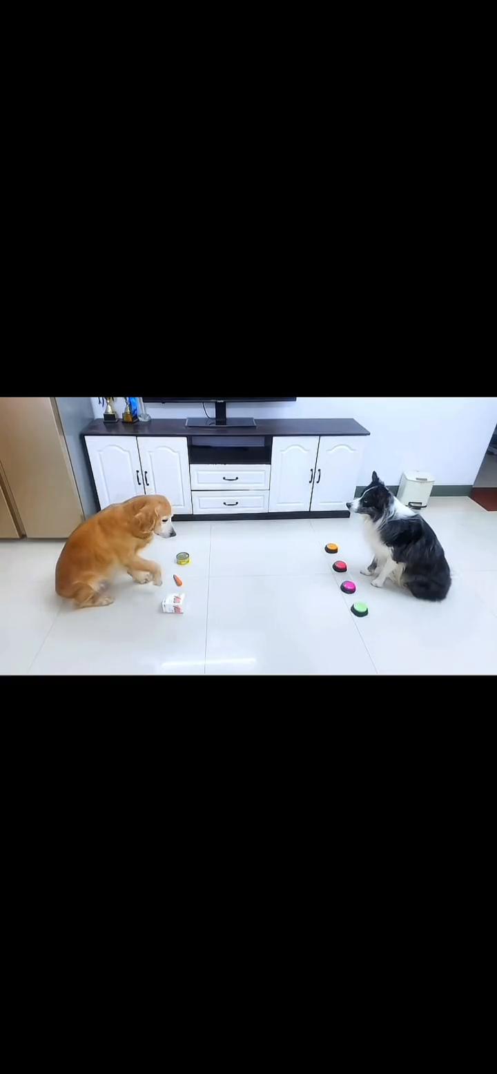 儿子，真棒。纸巾，真棒。罐头，真棒。