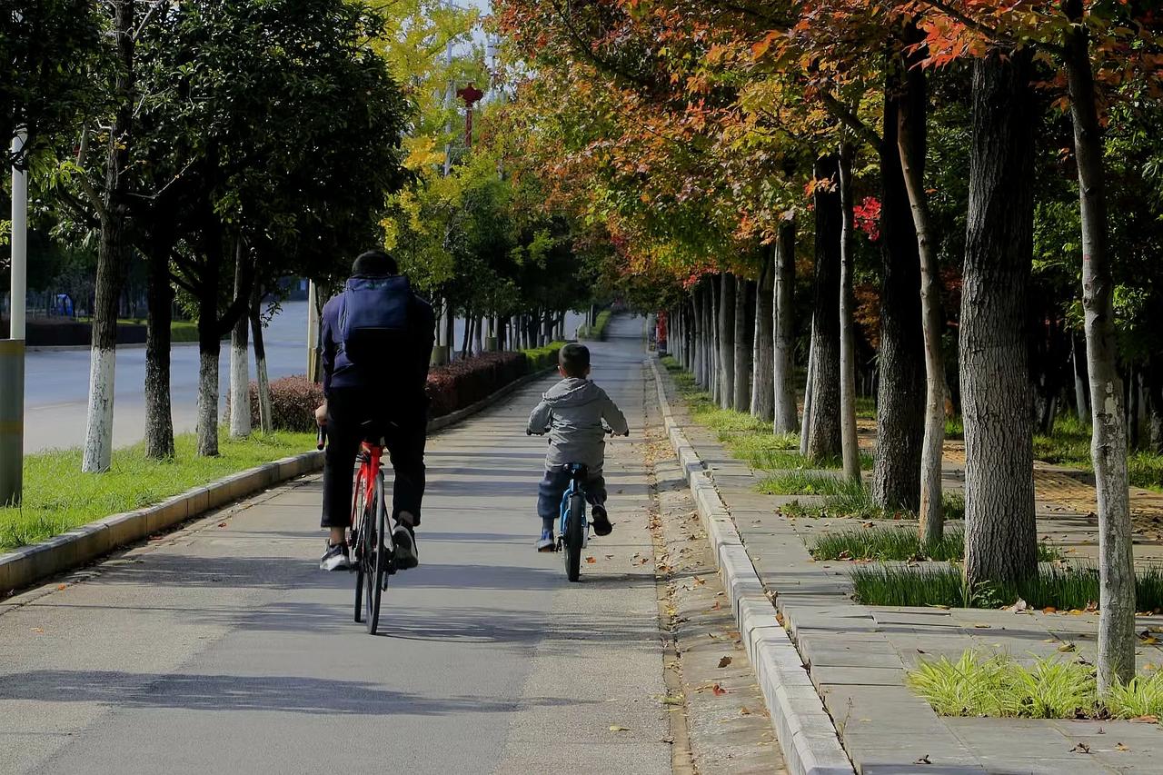 #可以分享一张秋景的树叶照片吗#