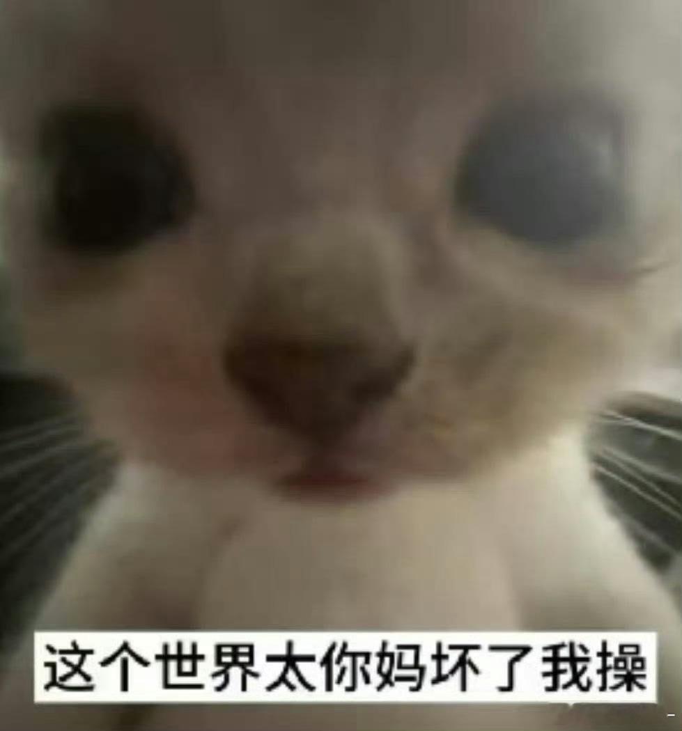 分享图片 ​​​