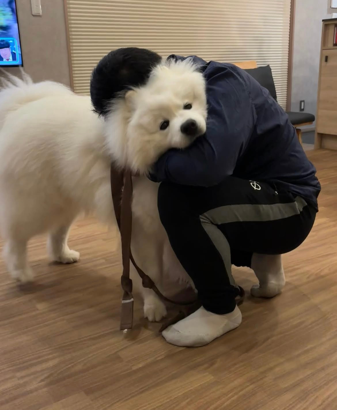 呜呜呜呜，小狗，上班真的太累了，要不你捡瓶瓶养我吧 