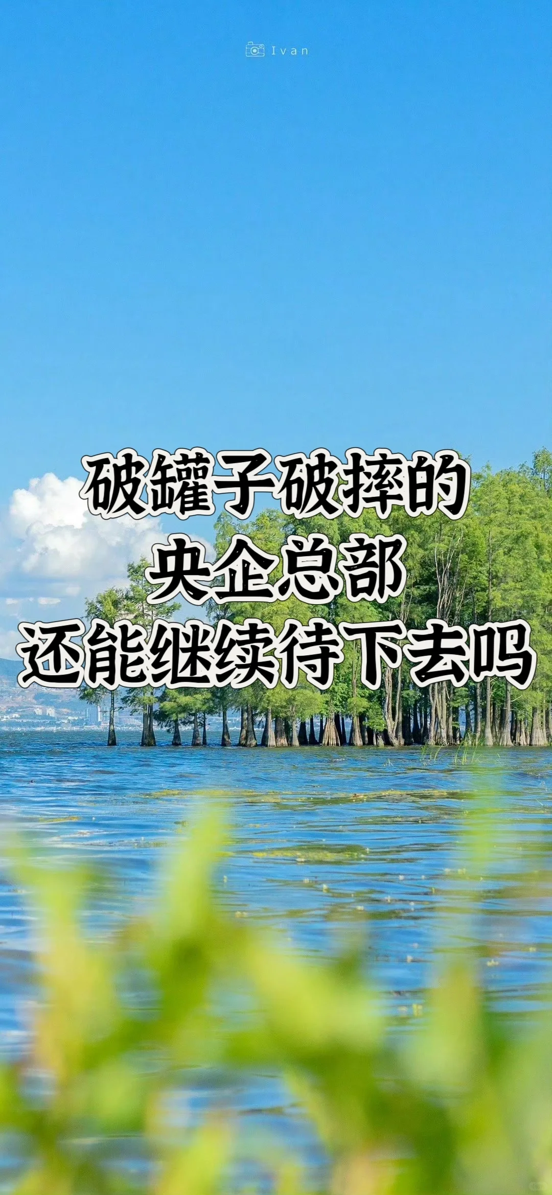 破罐子破摔的央企总部还能待下去吗😭