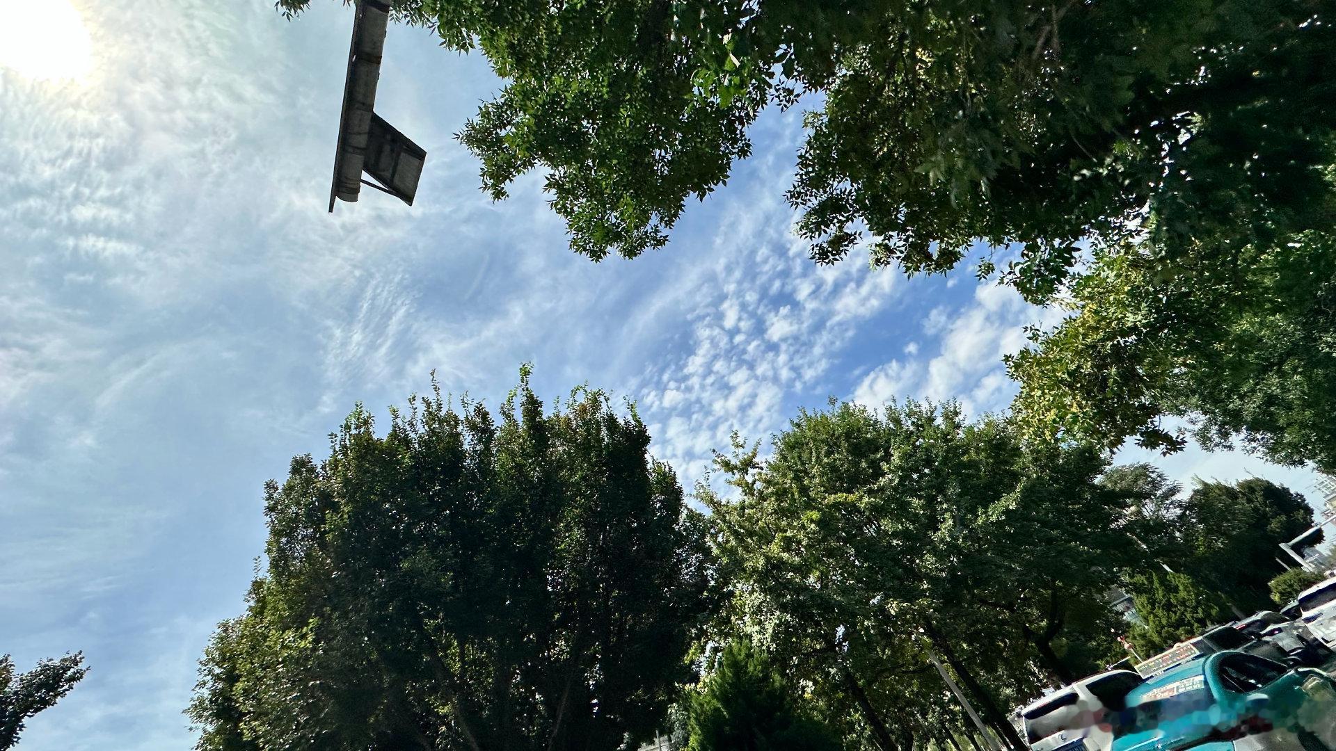 伊犁的天空好美啊！我把手伸出车窗，伸到车顶上，闭着眼睛瞎拍盲拍，都那么出片儿～～