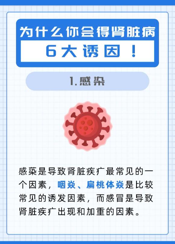 肾脏健康为何受损？六大高发诱因一次性讲清