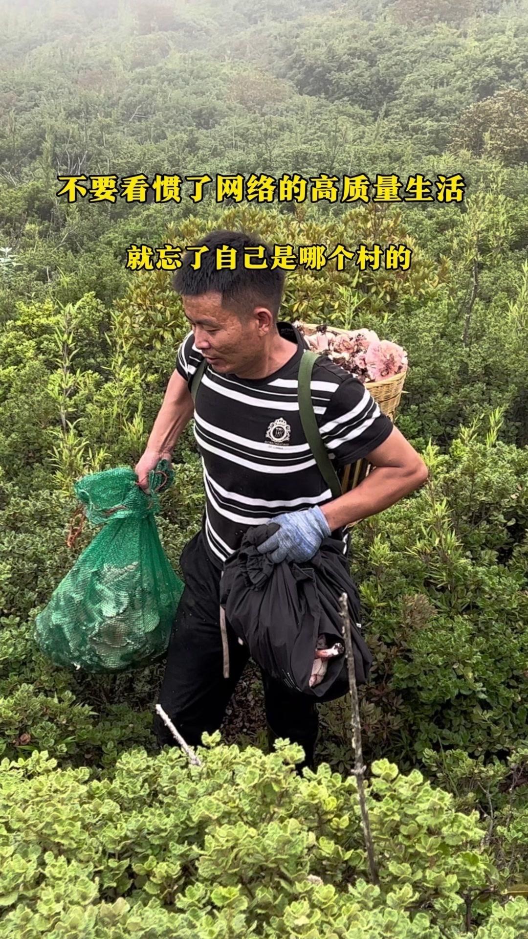 🌿最近刷多了精致生活视频，总忍不住怀疑自己是不是过得太粗糙。直到跟着老乡进山采