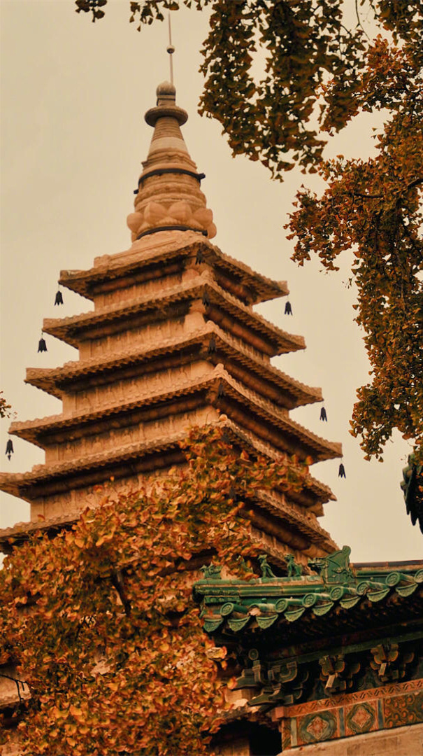 和任何人走得太近都是一种灾难。人生如尺，必须有度。最好的关系是：亲疏有度，相看不