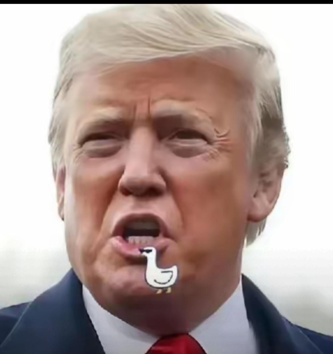 甩锅尼克松？特朗普颠倒黑白，暴露商人真面目
 
美国如今的烂摊子，竟怪50多年前