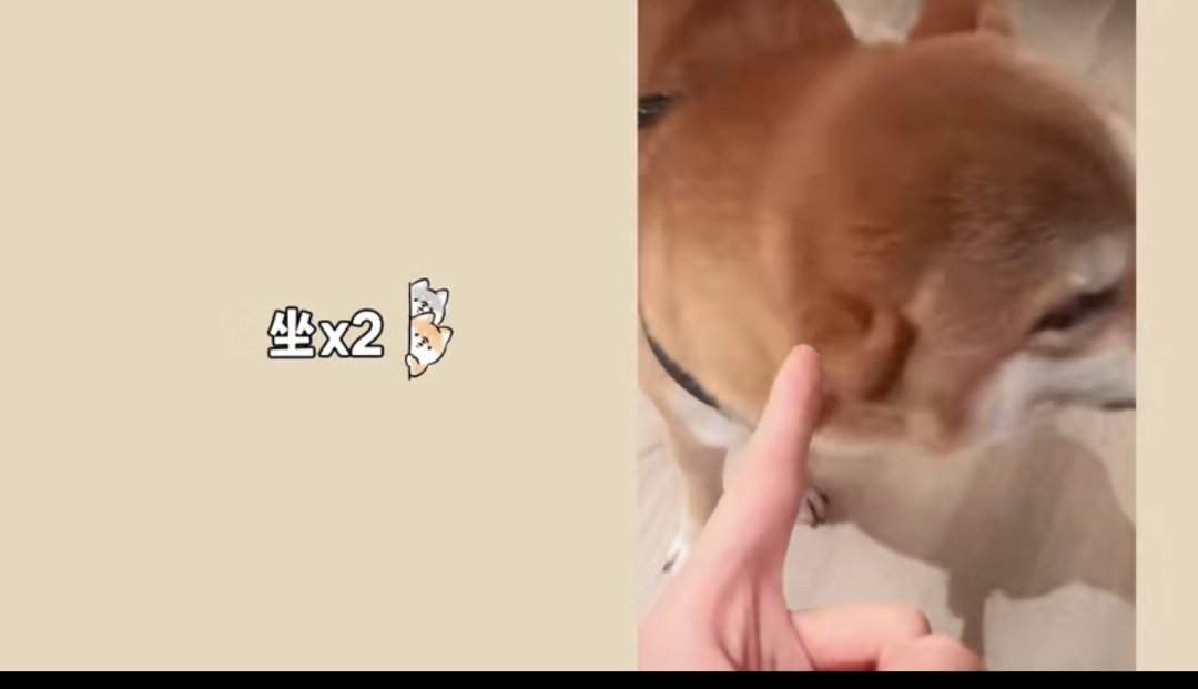 #张真源训狗日记##张真源回家先秀呼安# 咱就是说张哥回家第一件事先训练呼安也太