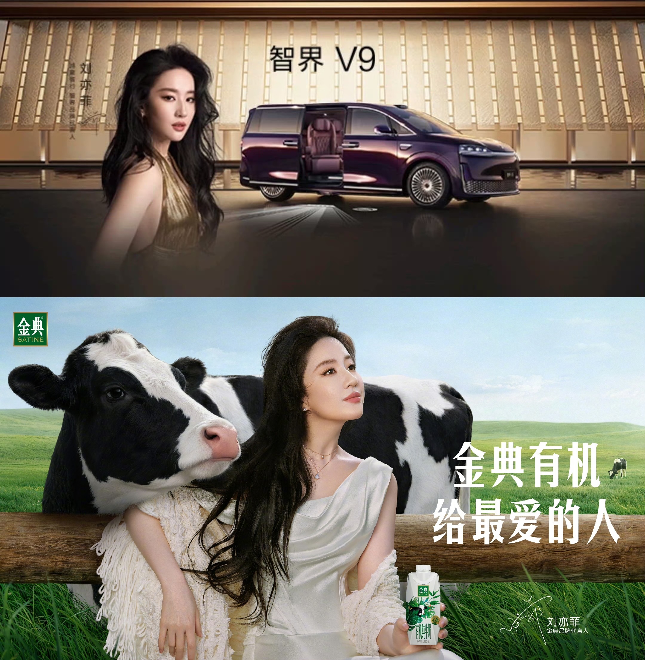 刘亦菲白玉兰出逃一周年🥛骨质疏松怎么办，快喝金典有机奶强身健体！ 🚙跑不动道