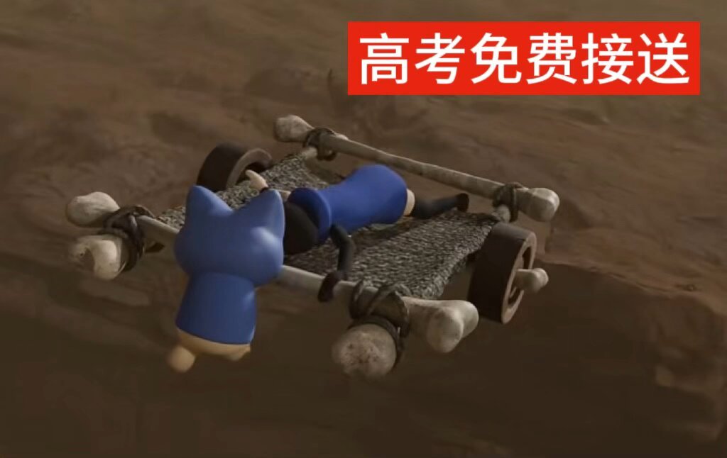9839老大我送你去考试喵 