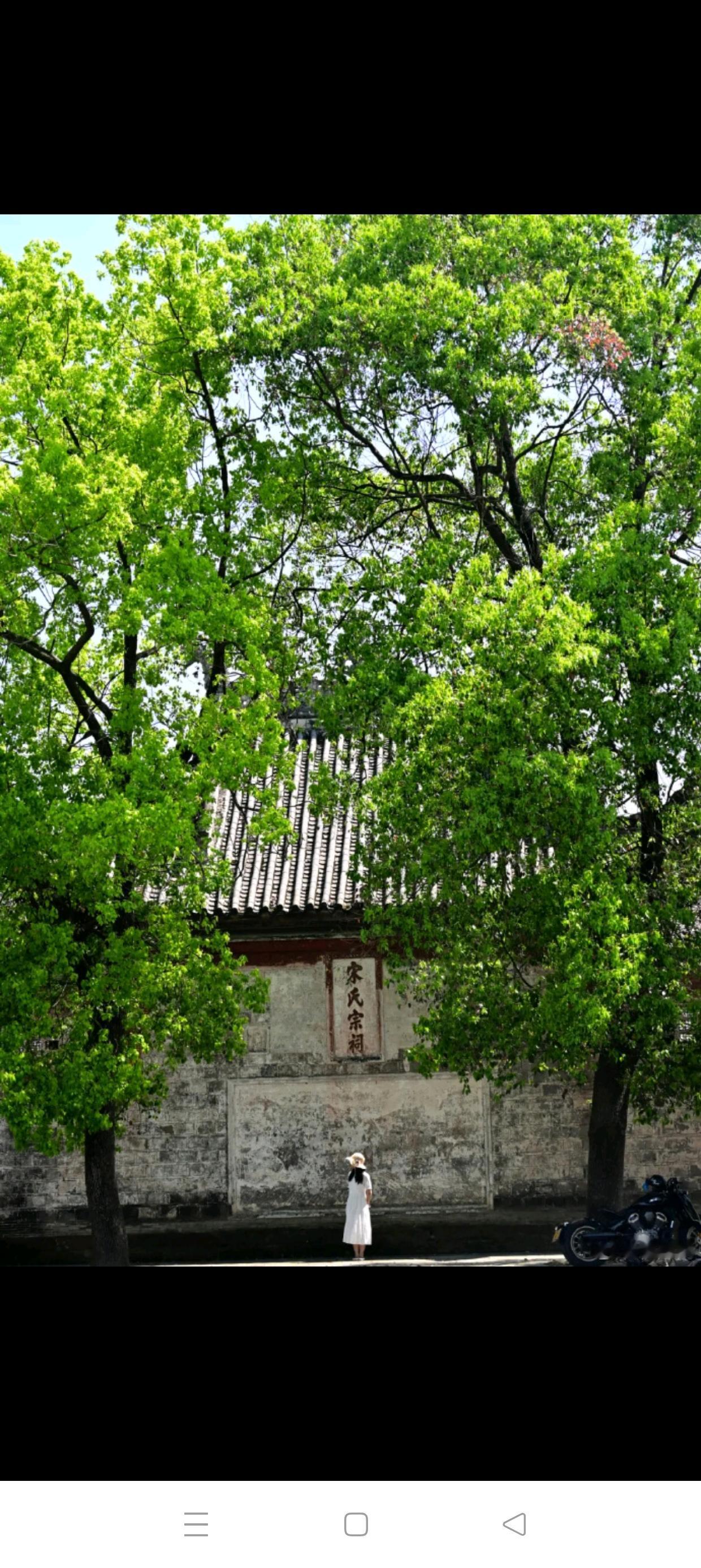 朋友是村里的党员，他说全村有40多个党员，大部分都在外地发展，连村支书也在外面做