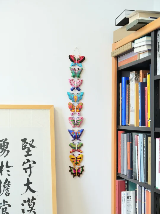 解锁传统的蝴蝶挂件，佩服绣娘们的审美！！