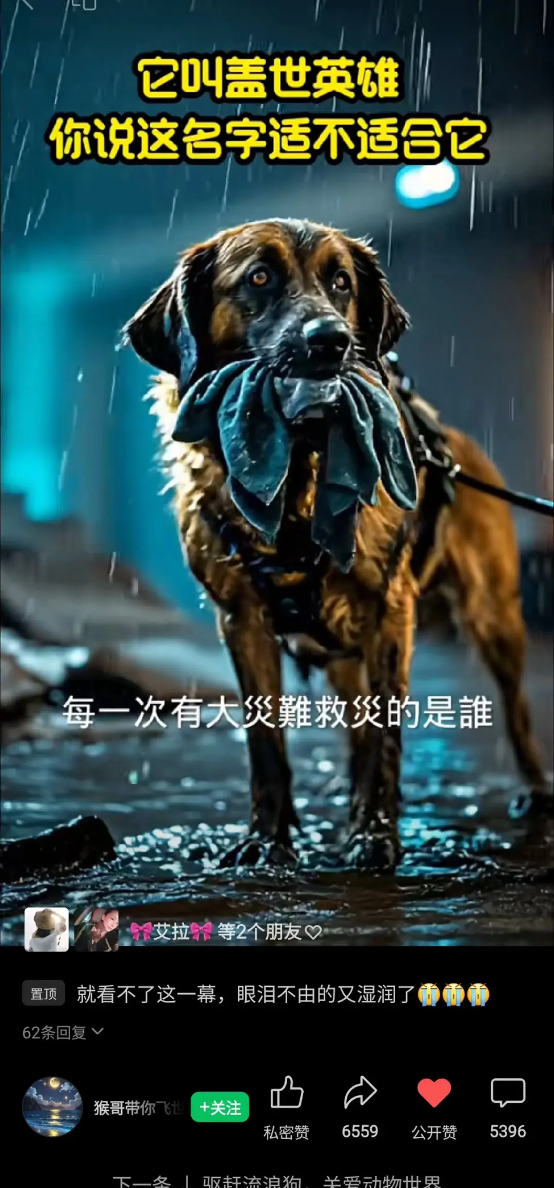 英雄们，你们真棒👍，那些骂狗的，伤害狗的，虐待狗，吃狗肉的，你们如果...