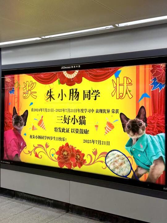小猫的生日礼物是一张大奖状！🎉