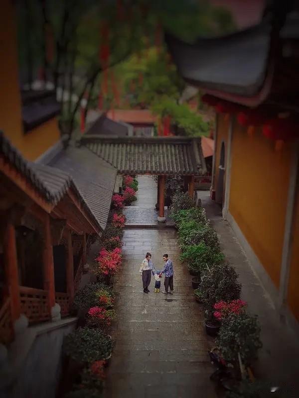 缘来随缘，心守本心

世间所有相逢，大抵都始于一场盛大的惊艳。

初遇的缘分，总