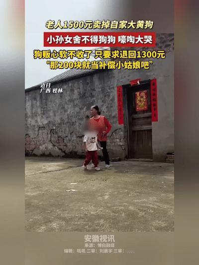 看哭桂林乡亲！孙女跪抱大黄狗哭到哽咽，狗贩当场把钱塞回奶奶口袋。
 
广西桂林的