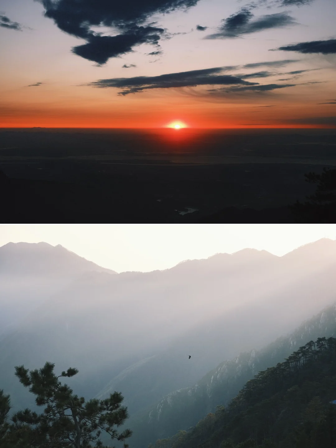 庐山日出PK！仰天坪VS含鄱口👉看完这篇再决