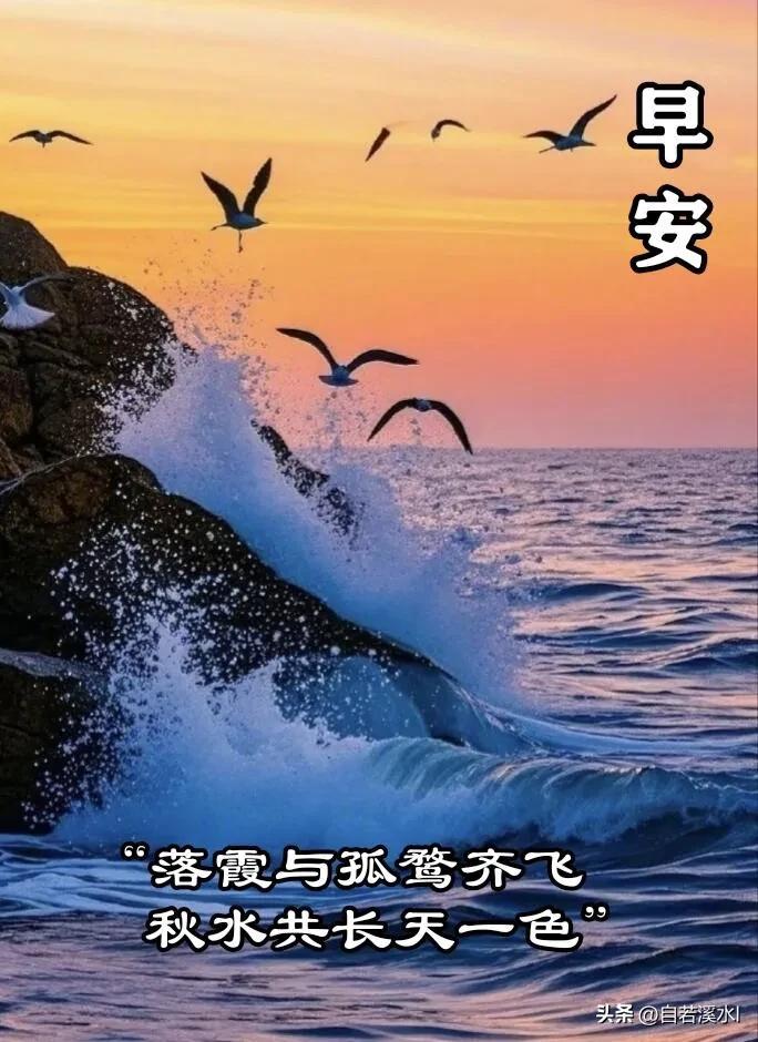 海阔鸥飞，秋光正好，愿心怀坦荡，日日安然，早安。