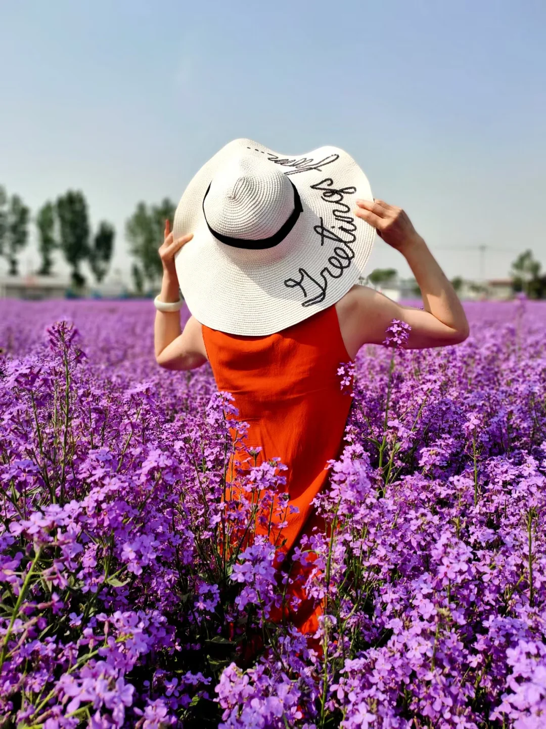 人生不宜求全，唯求半称心