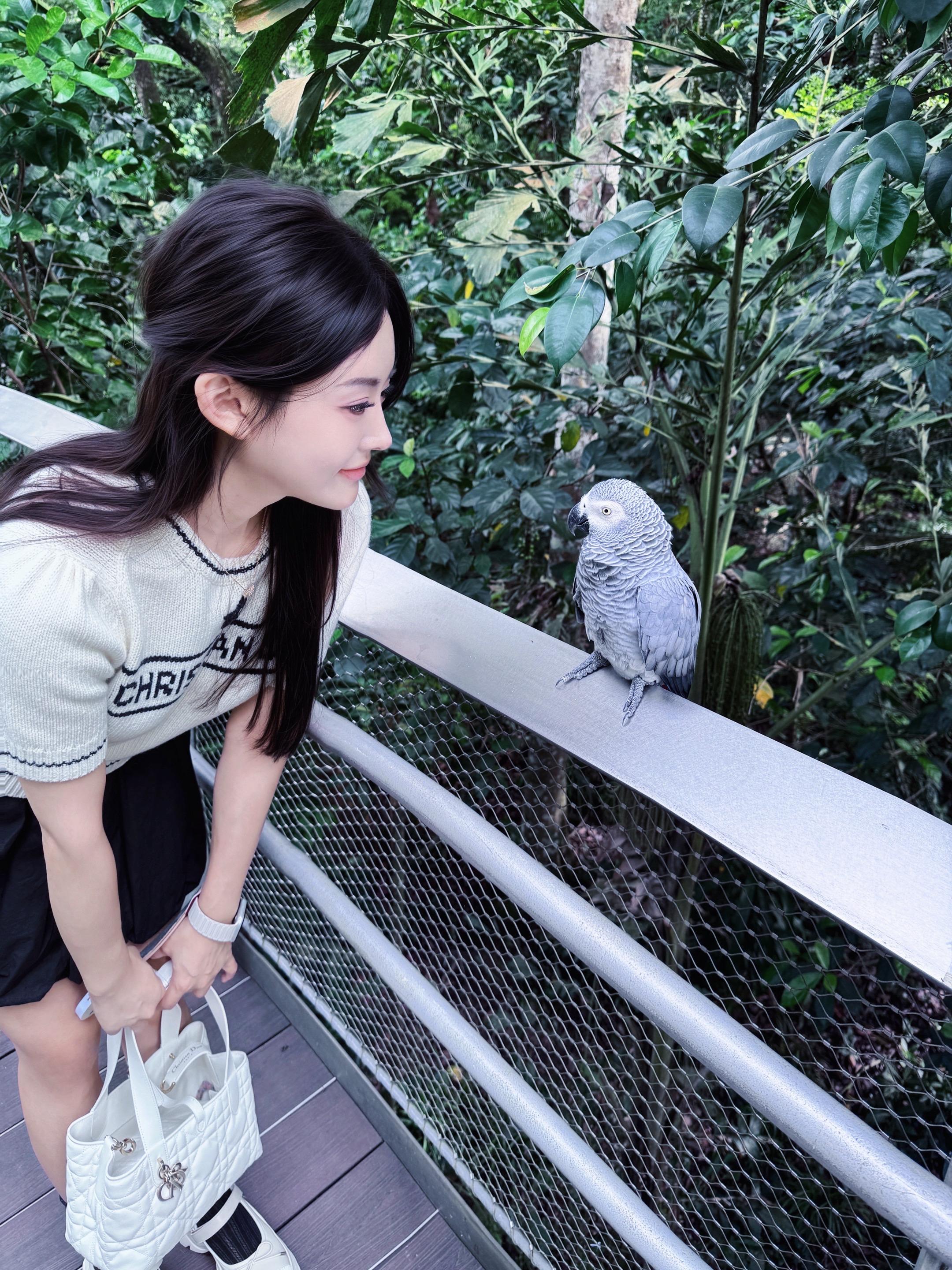 my holiday in Singapore