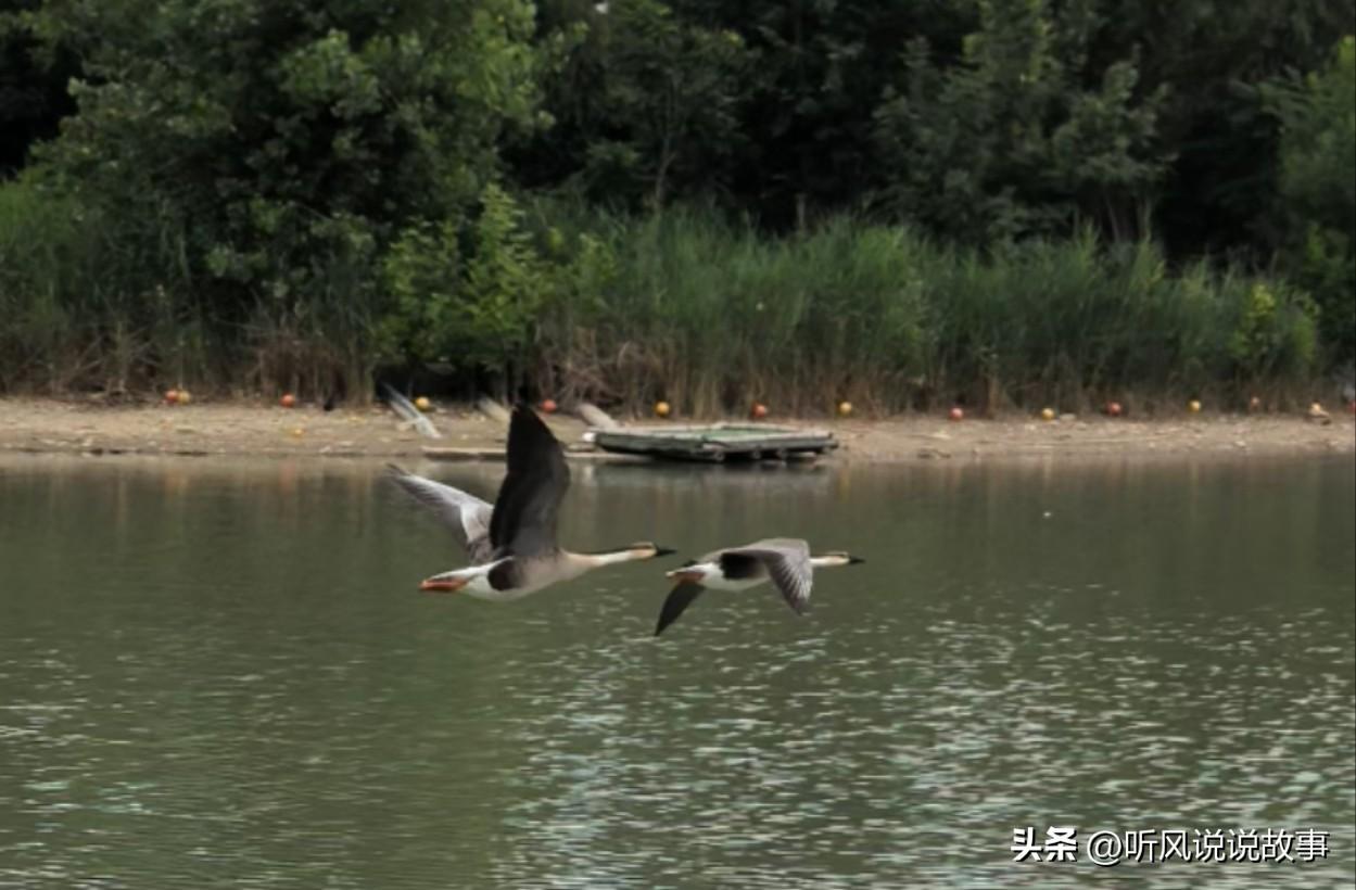 ❤️我最看好西班牙夺冠，其次是法国，阿根廷是黑马级卫冕候选。
 
🏆 第一梯队