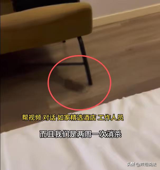 浙江杭州，网友入住酒店之后，正躺在床上休息呢，一只大耗子从天花板上掉落下来，正好