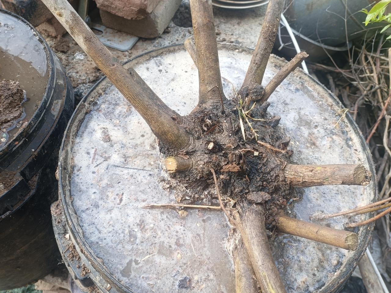 好的师父成就你，
当时学形意拳的时候，
师父带着我去他的师兄弟家让他们给我补充功