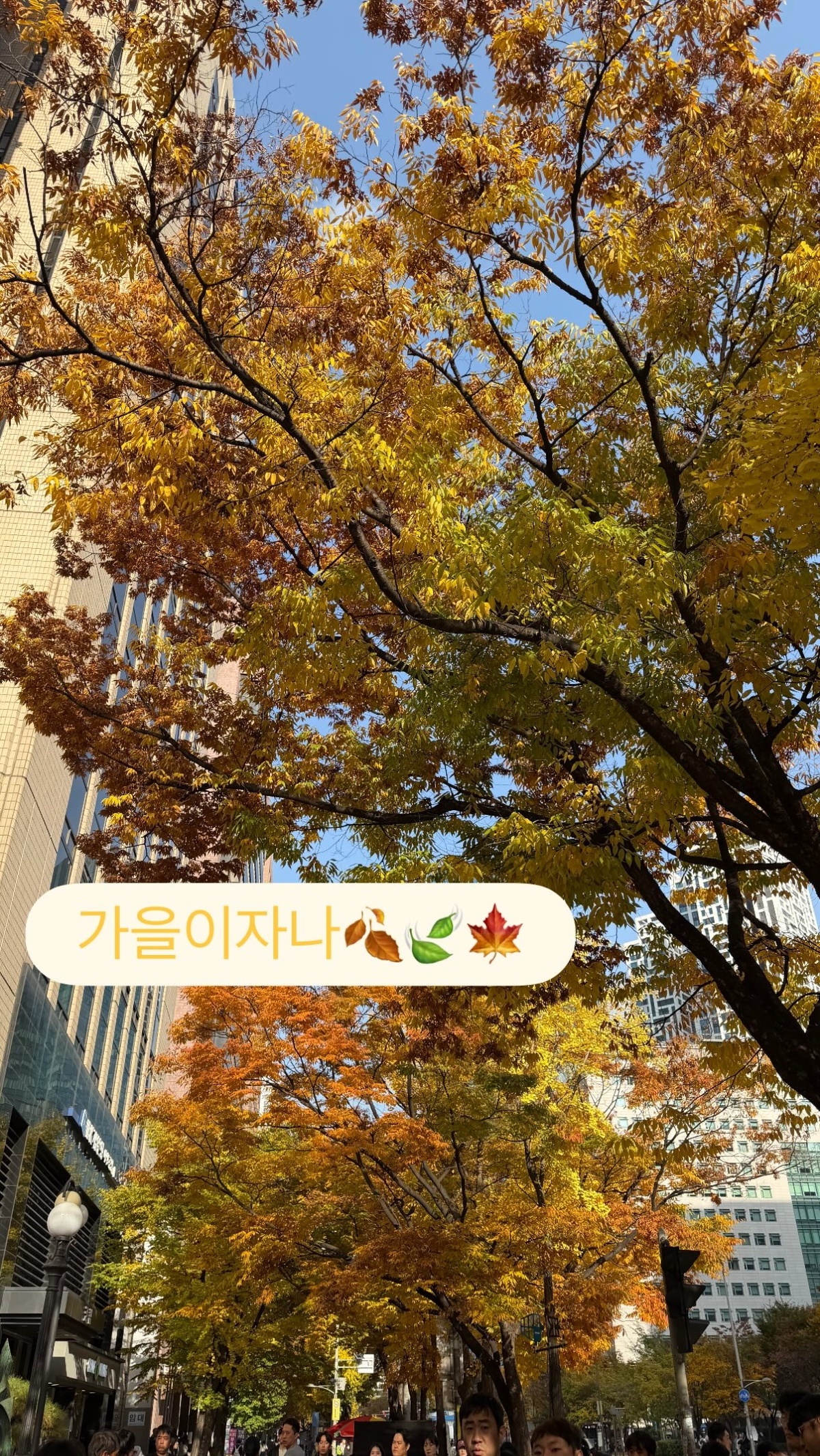 朴信惠[超话] ✨UndercoverMissHong 251109 ssinz