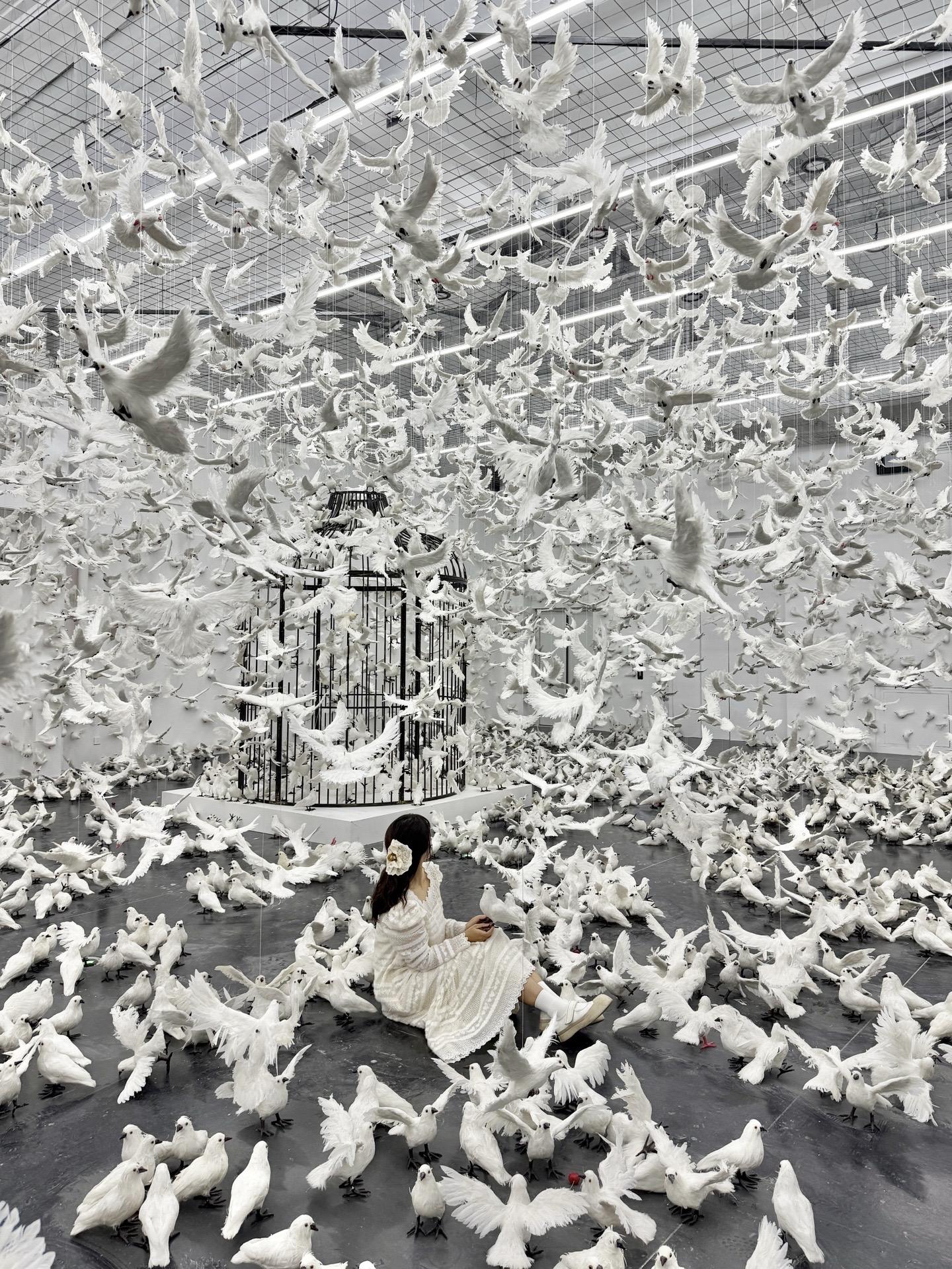 很少用震撼形容一个展！被上万只和平鸽包围。很少用震撼形容一个展！！！ ...