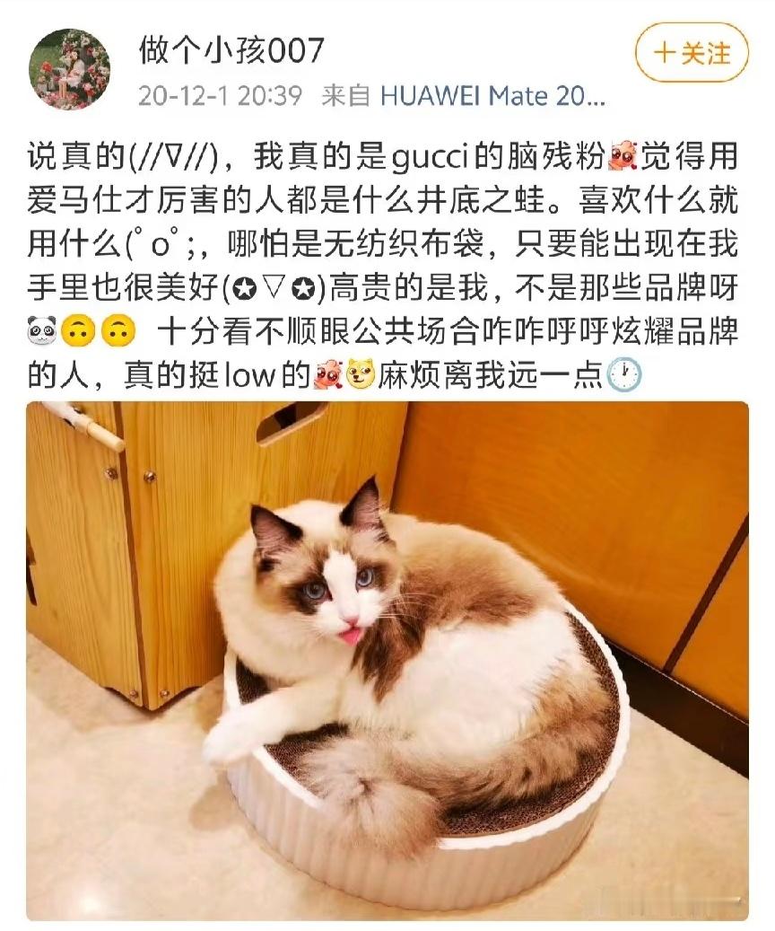 人上人哇