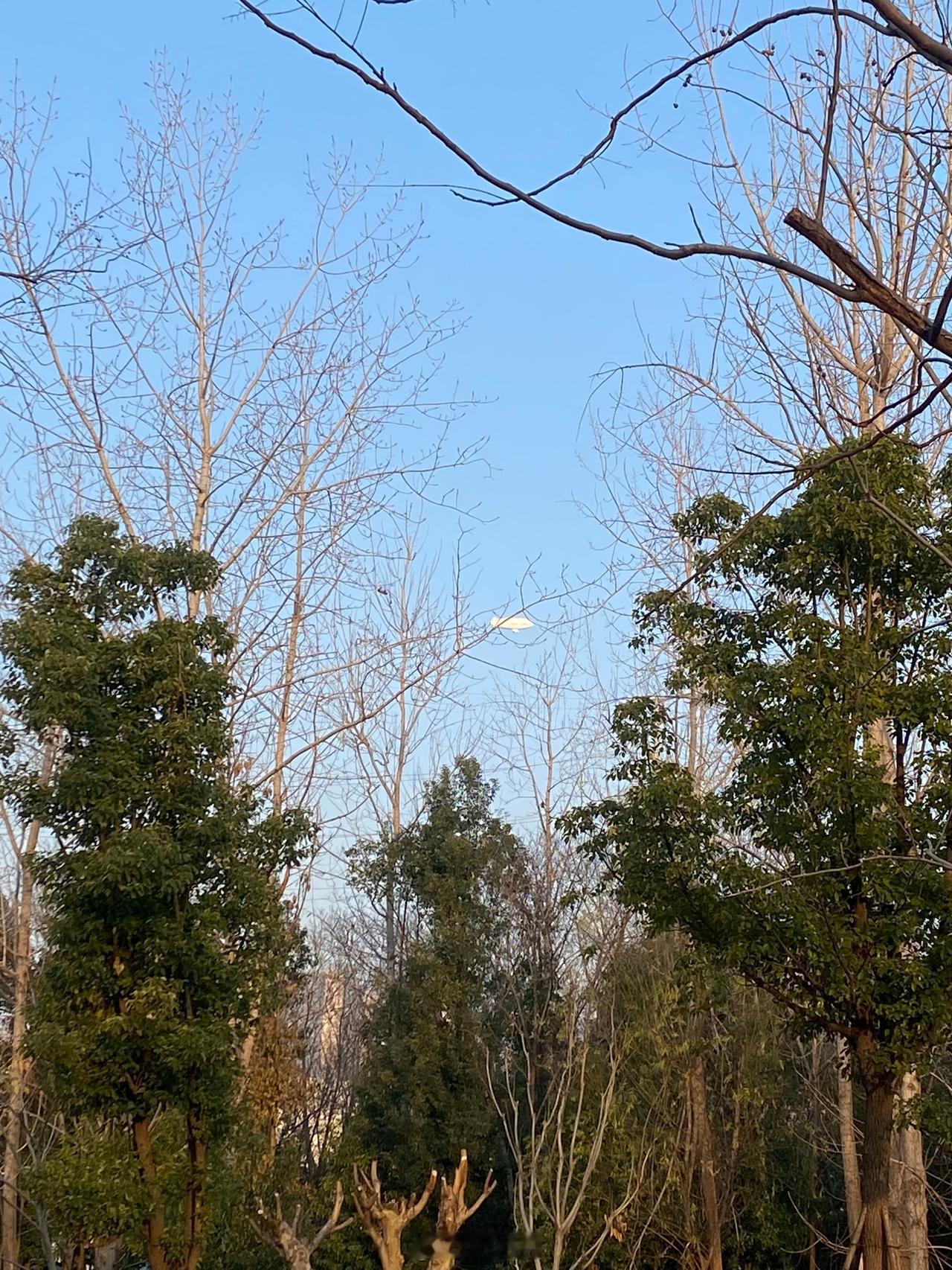 今日有飞艇在光谷飘