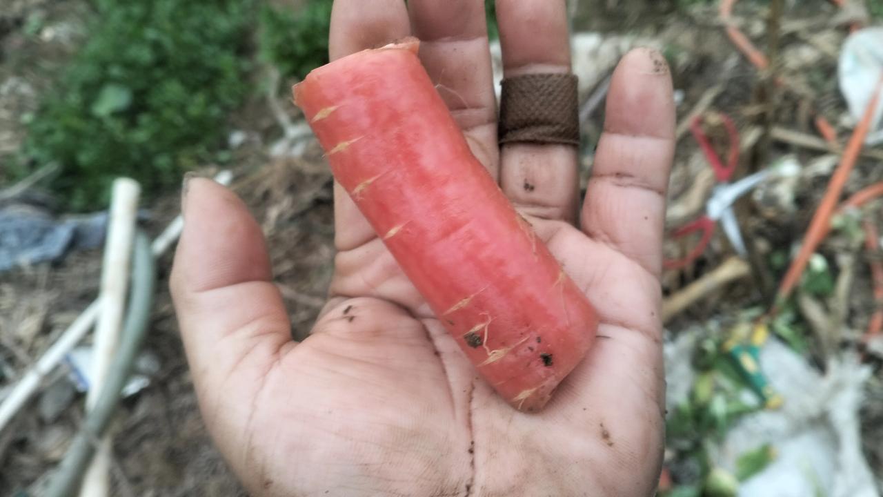 农民的手啊，昨天切菜，齐刷刷切两个手指，#农民种不容易了# #我们都来自农民# 