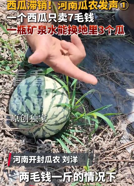 有点震惊了。瓜农谈西瓜滞销：一瓶水钱能换3个瓜。可是我昨天在一家小超市，买了半个