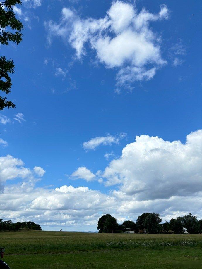 张婧仪海岛度假plog张婧仪草帽小雏菊 张婧仪笨蛋囤囤鼠，24年的照片26年才发