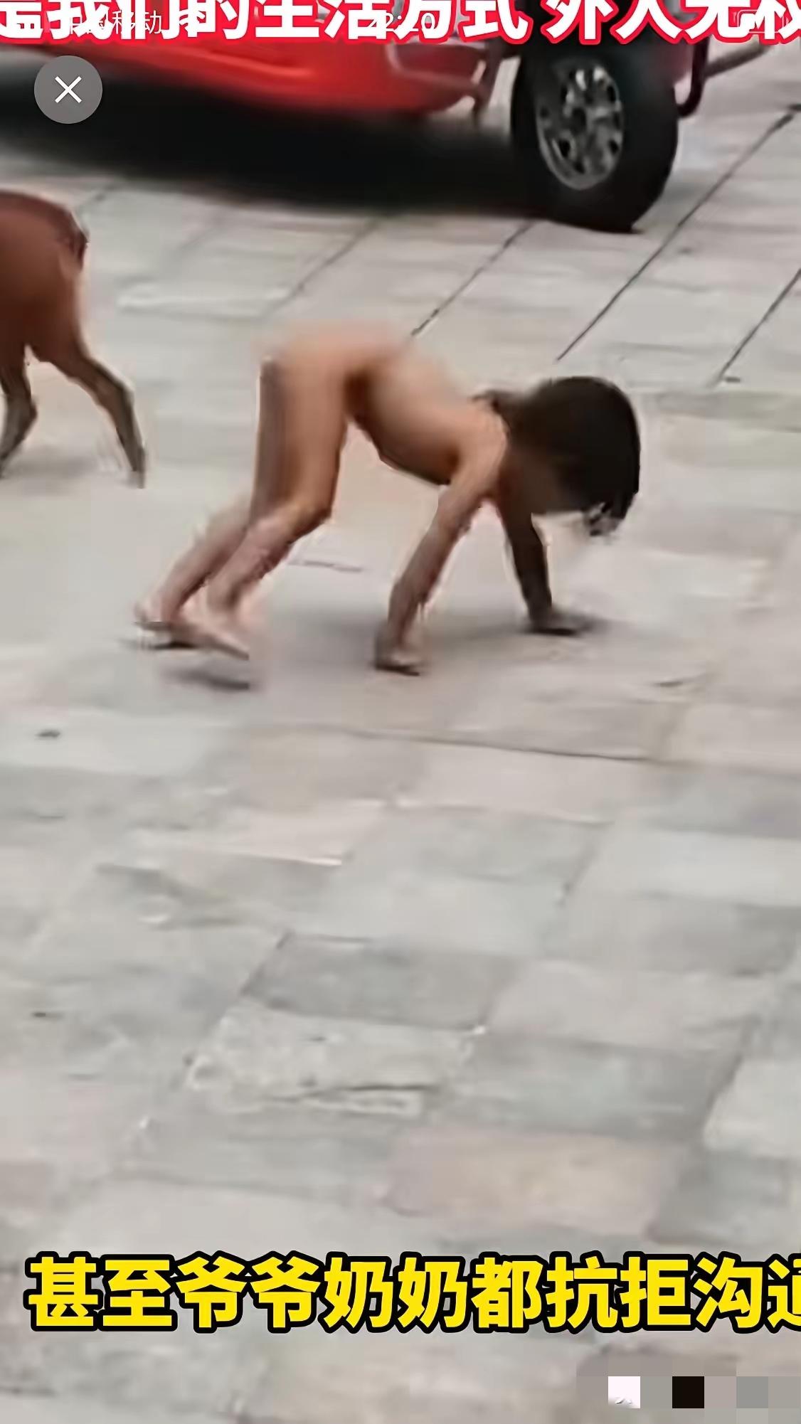 这家人没有精神疾病我都不信

父母一个大学学历、一个研究生学历，放着好好的日子不