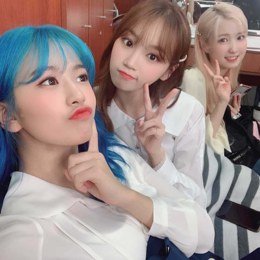 IZONE[超话]  👆✌️✌️安宥真金采源本田仁美 ​​​