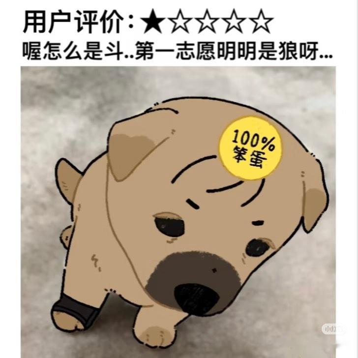 bro每次骂我担担是勾兑选手的时候我脑海里 